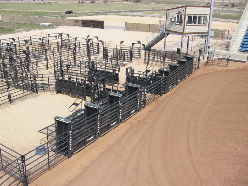 Rodeo Chute Pens 032.jpg